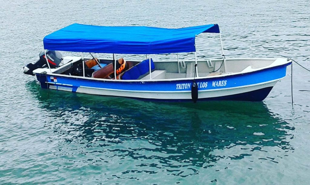 How to get to Boca Chica from David