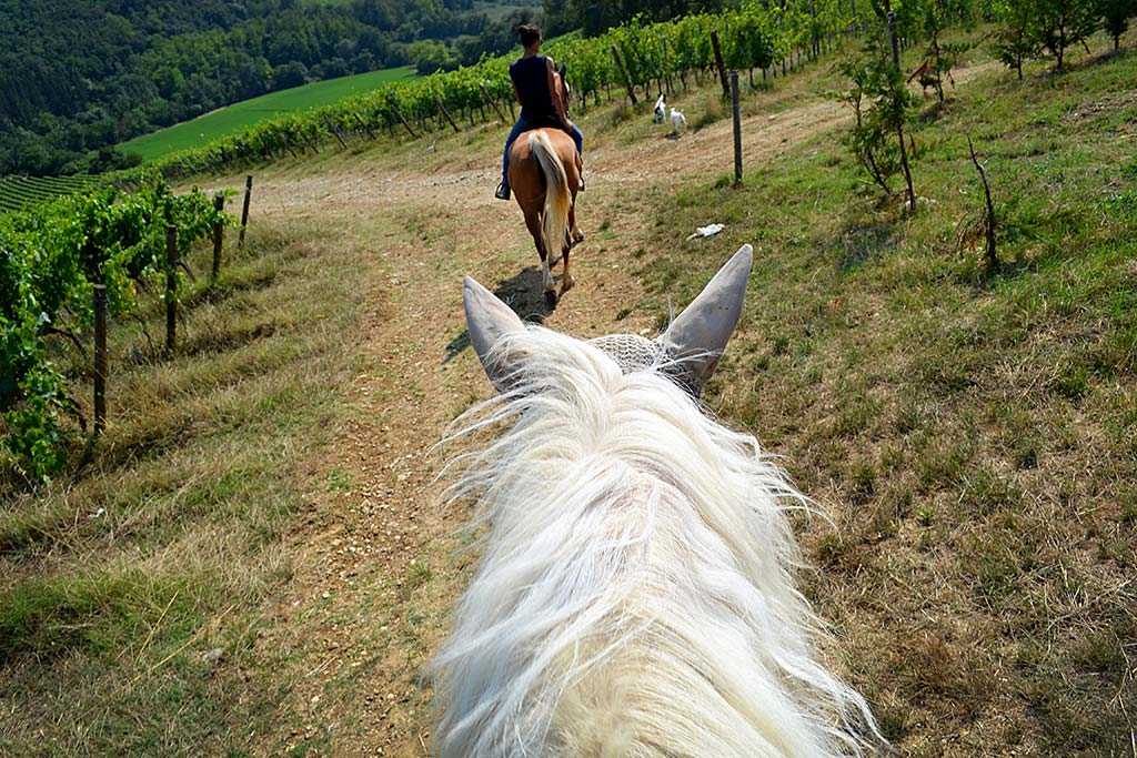 Horseback riding in Boca Chica, Chiriquí.