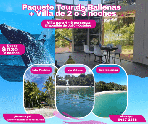 Paquete Tour de Ballenas y Villas 
