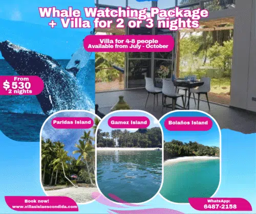 Whales and Villas in Boca Chica